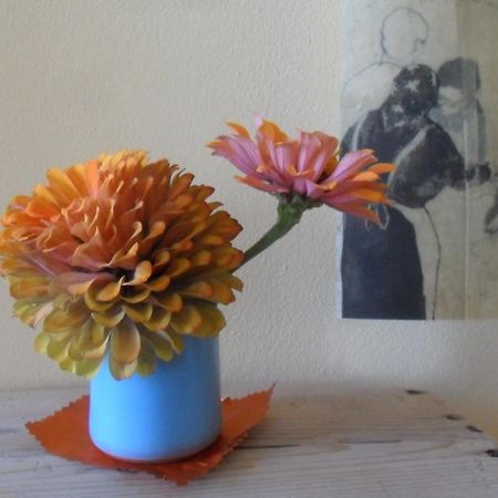 B&B Casa Pascolone Pegognaga Eksteriør billede